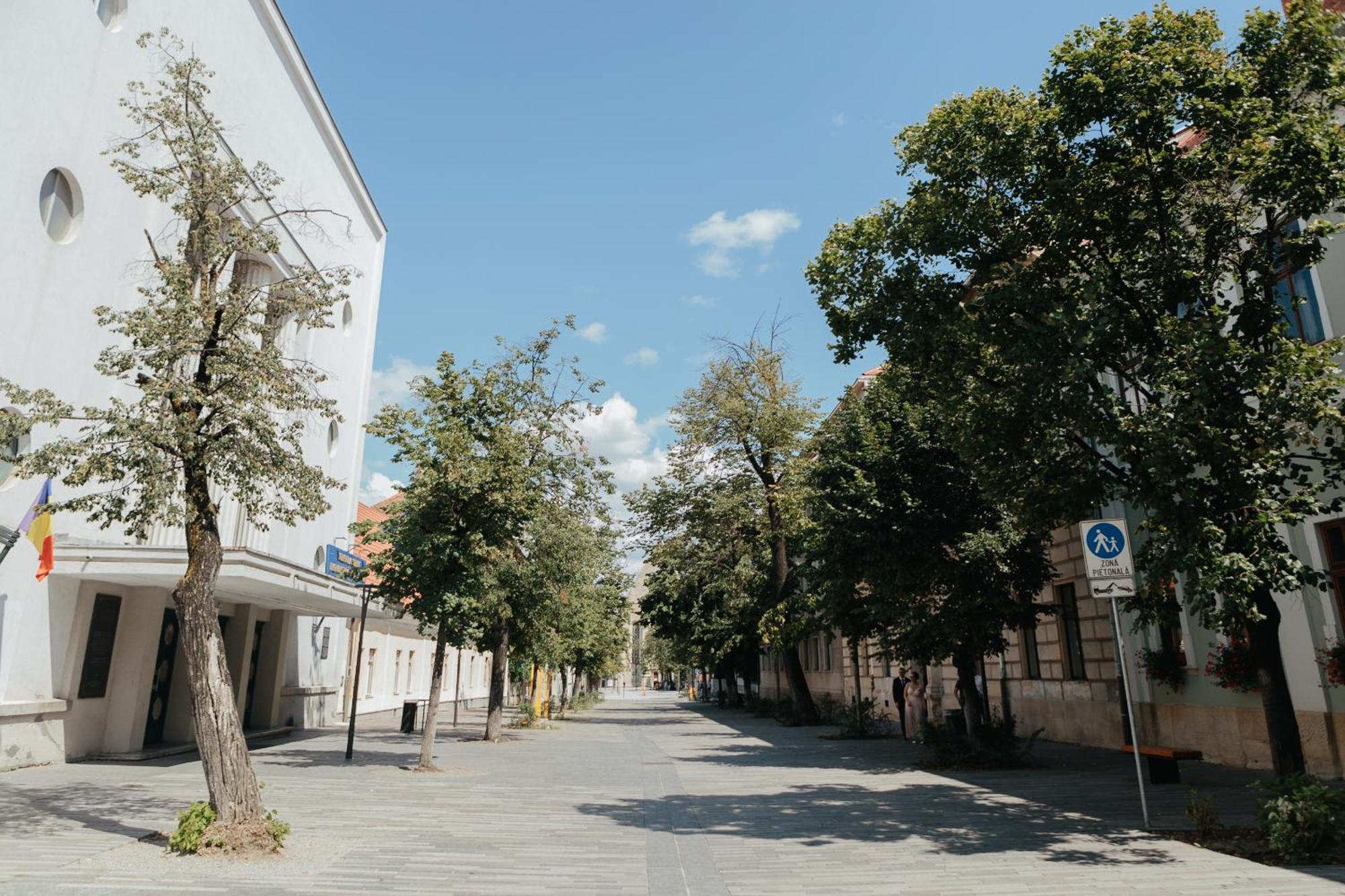 Contessa Central Studio II Cluj-Napoca Luaran gambar